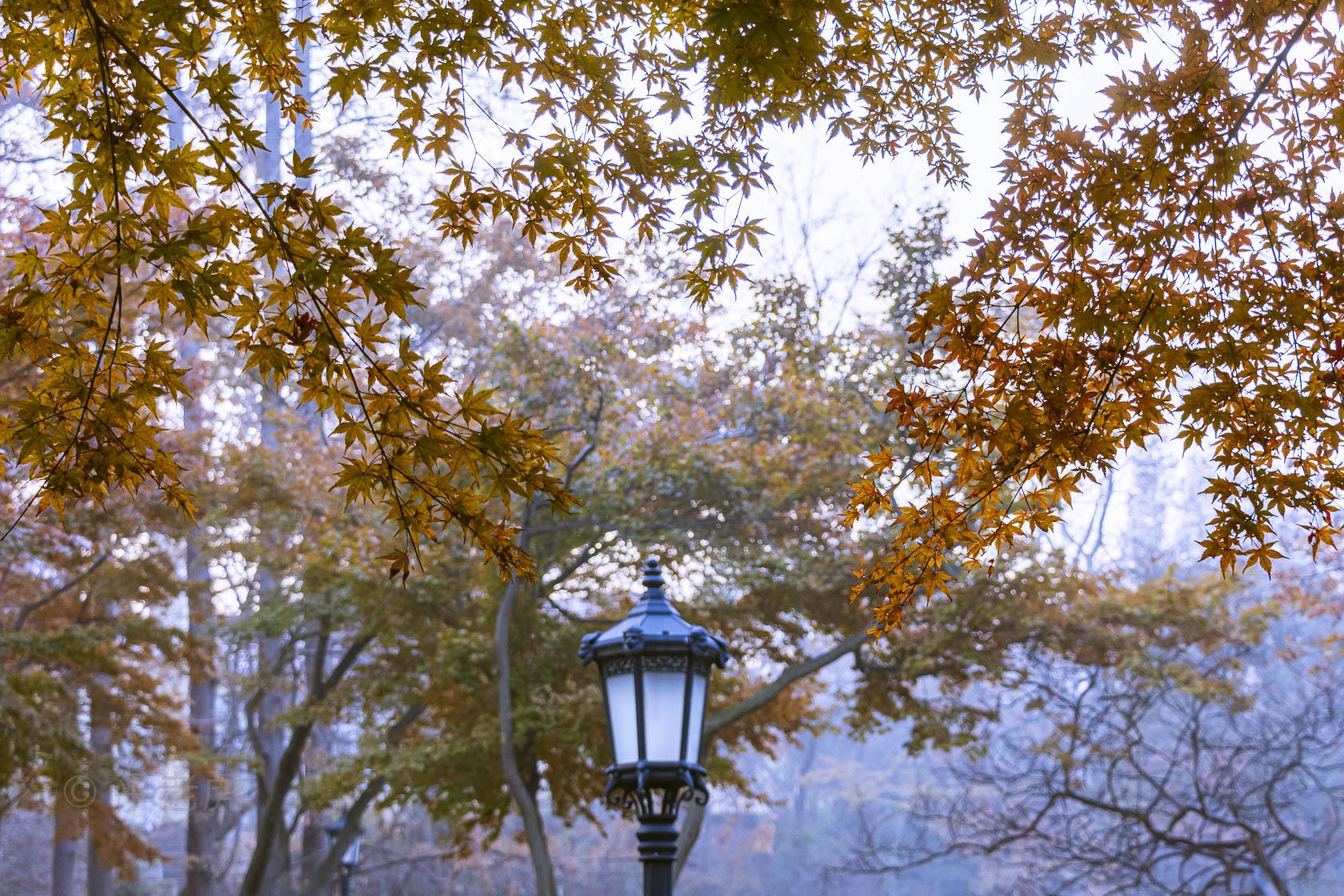 鏡頭買賣,收購鏡頭