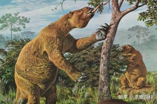巴西发现13000年前的地下隧道，科学家：非人为，也不是天然形成 - 知乎