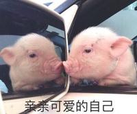 关于现金股利政策法规和股利对股价影响的理论浅分析