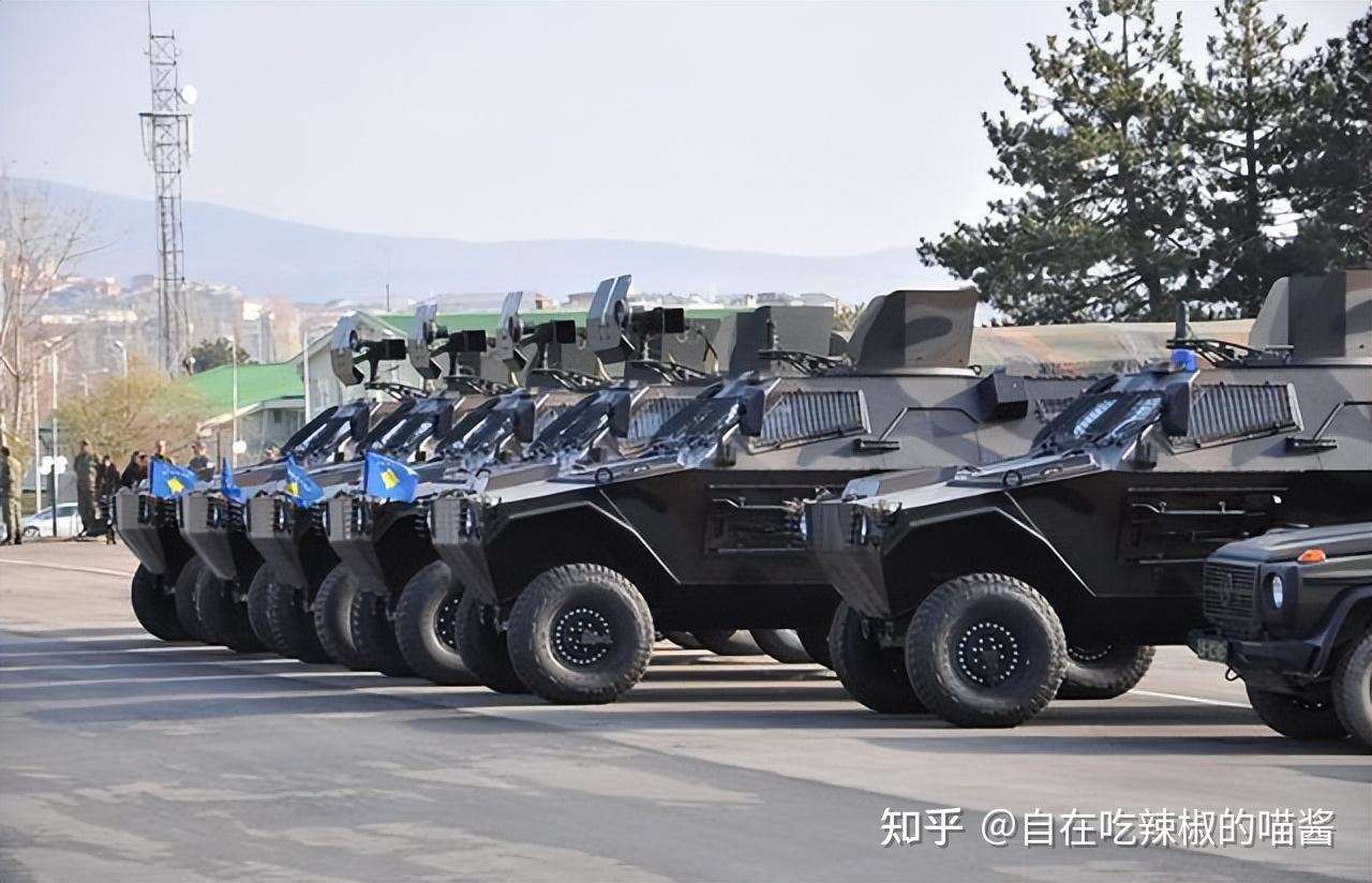小国陆军志——塞尔维亚科索沃地方武装