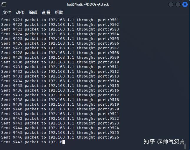  kali ddos 