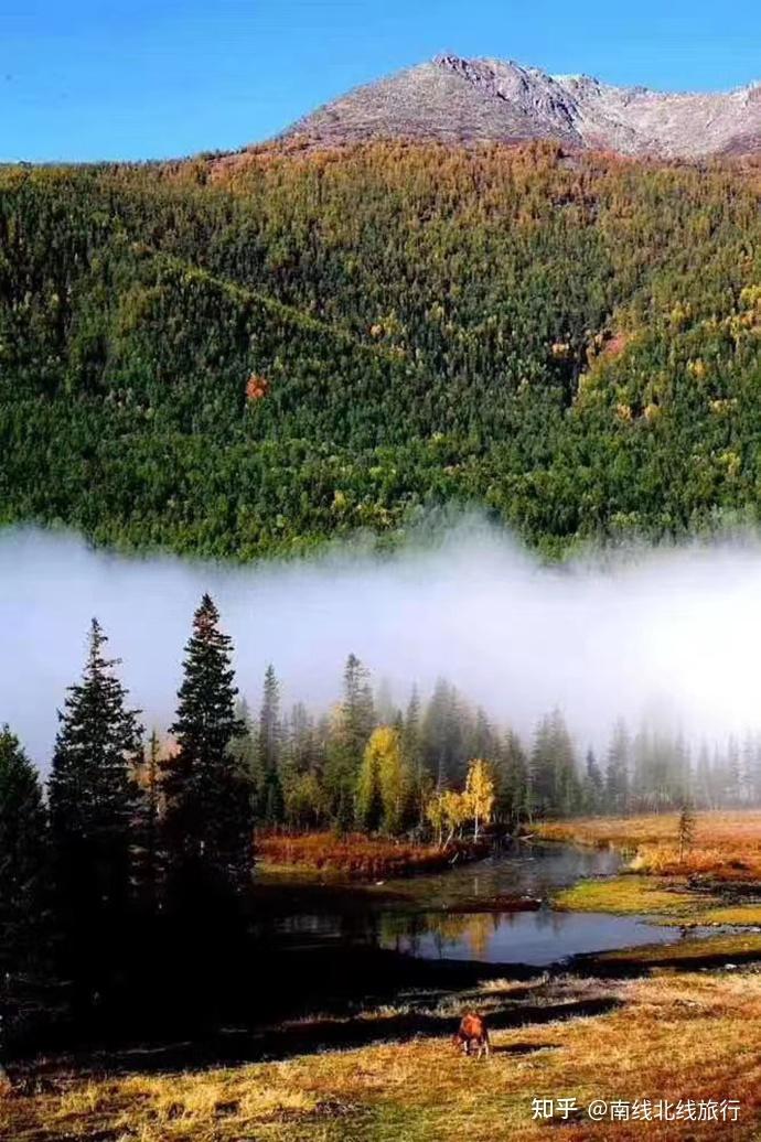 新疆南北疆景点对比_新疆塔城老干部局_新疆南北疆旅游路线推荐