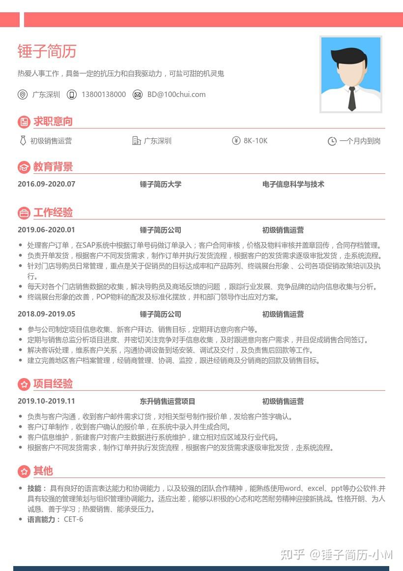 锤子简历初级销售运营适合应届生简历模板带内容参考