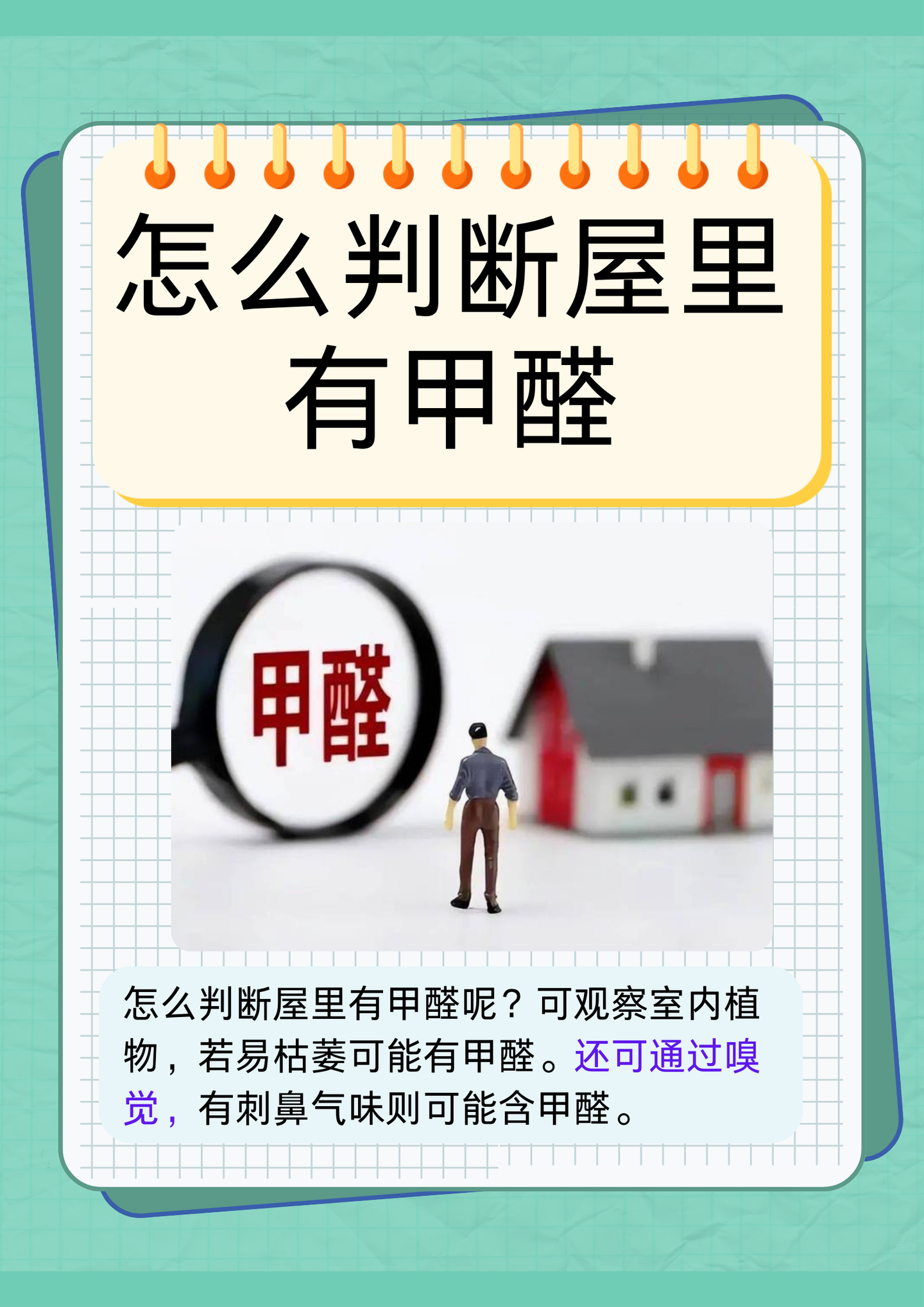 新房除甲醛全攻略:科学方法 vs 常见误区,你真的做对了吗? - 知乎