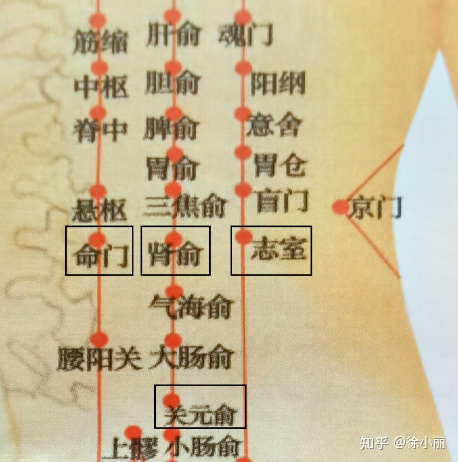 臀部和腿部不同部位的疼痛意义及治疗 - 知乎