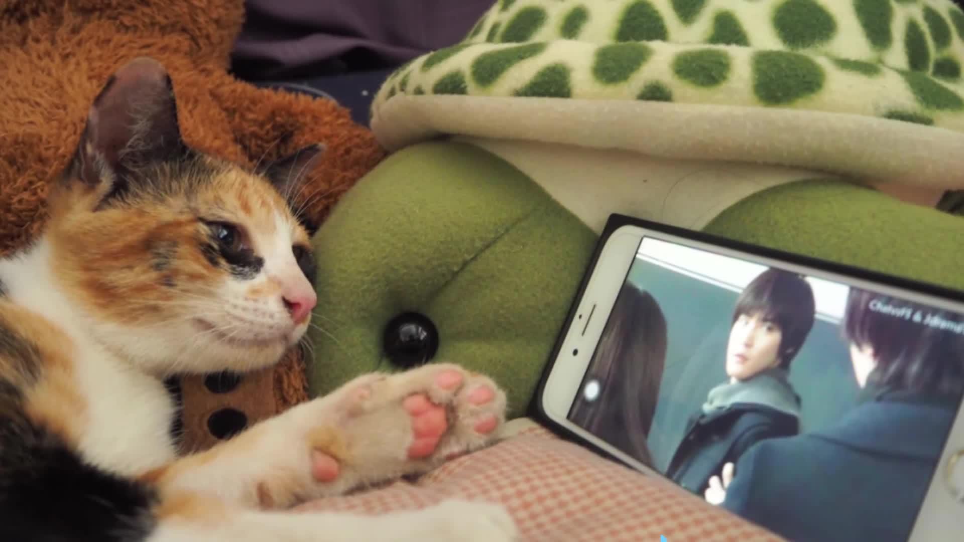 每日一囧如果在大学里有家长会那会是个怎样的情形