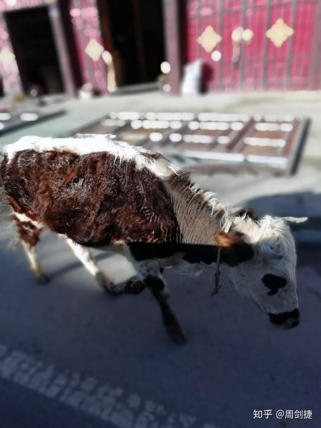 这样也行?(4200公里多少油钱)4200公里开车需要多久,(图70) 这样也行?(4200公里多少油钱)4200公里开车需要多久,(图70)