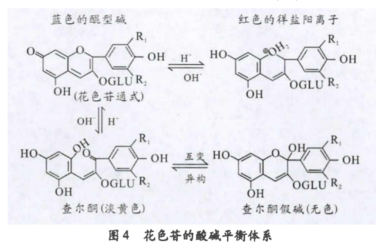 黑枸杞泡水为什么会变色 知乎