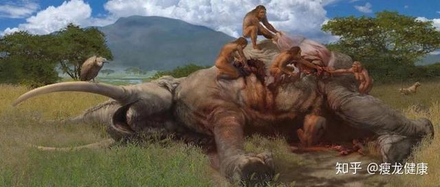 动物脂肪中的长链脂肪酸,使人的大脑容量变为原始人类祖先的4倍,从