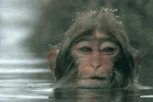 我是上海考生,大学考华中科技大学同济医学院