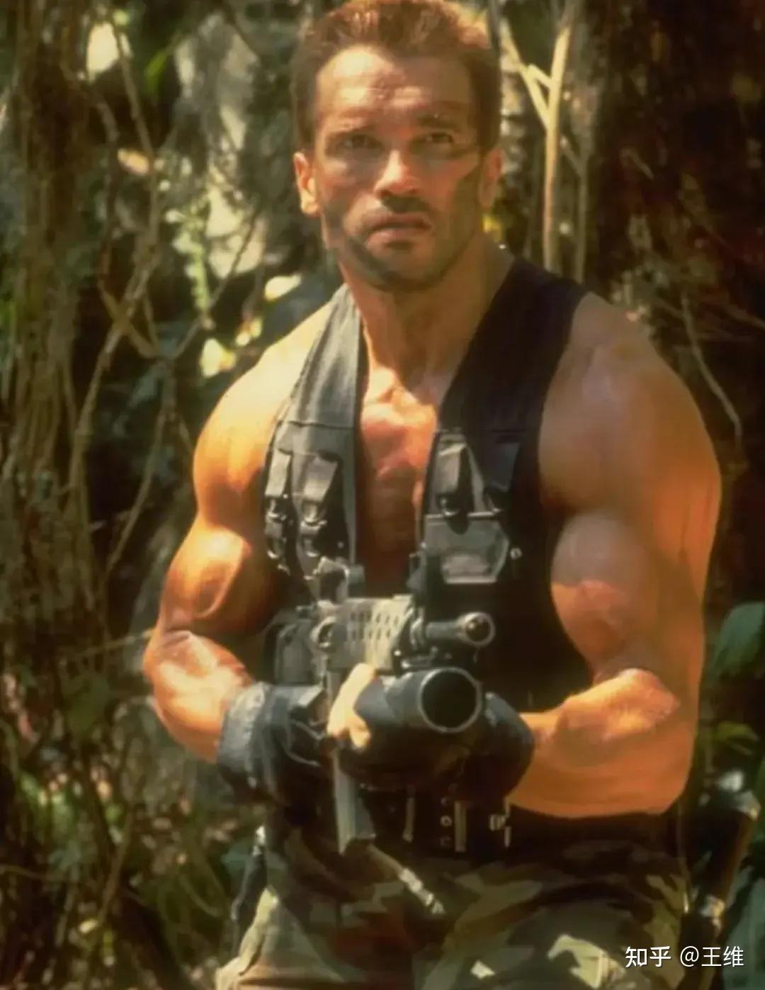 好莱坞12位动作巨星,究竟谁才是你心中的神?