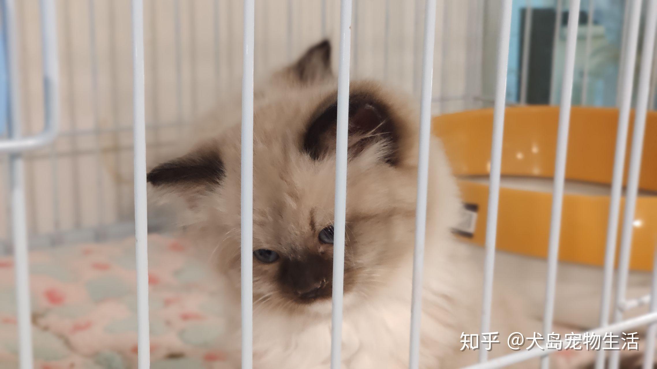 啥时候才能有自己的家 v2-58f1e48cc5562df9d4a95aff21b649c1_r.jpg