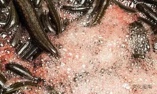 闽南人为什么会养蛊