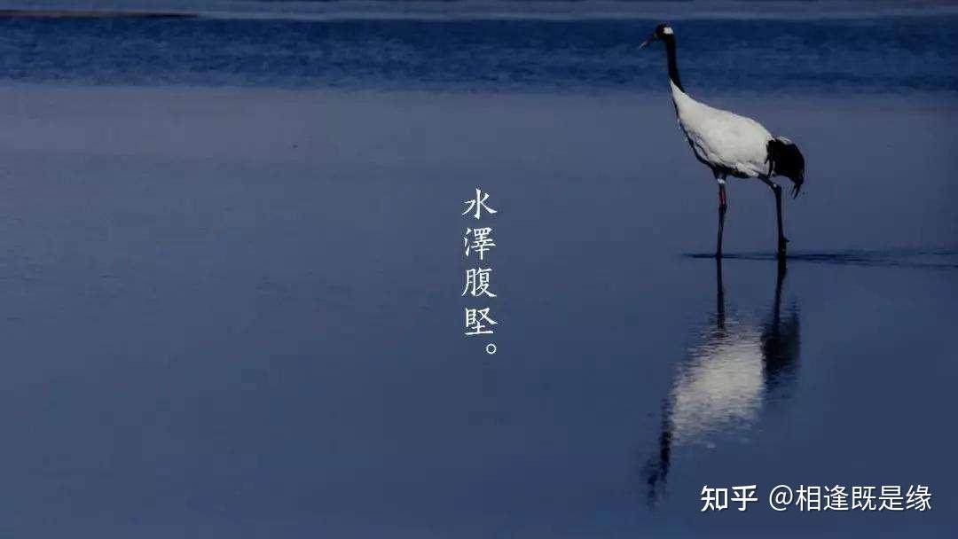 怎么上岸才叫真的上岸 v2-58ff0d93bd7e2603883771b1d973a045_r.jpg