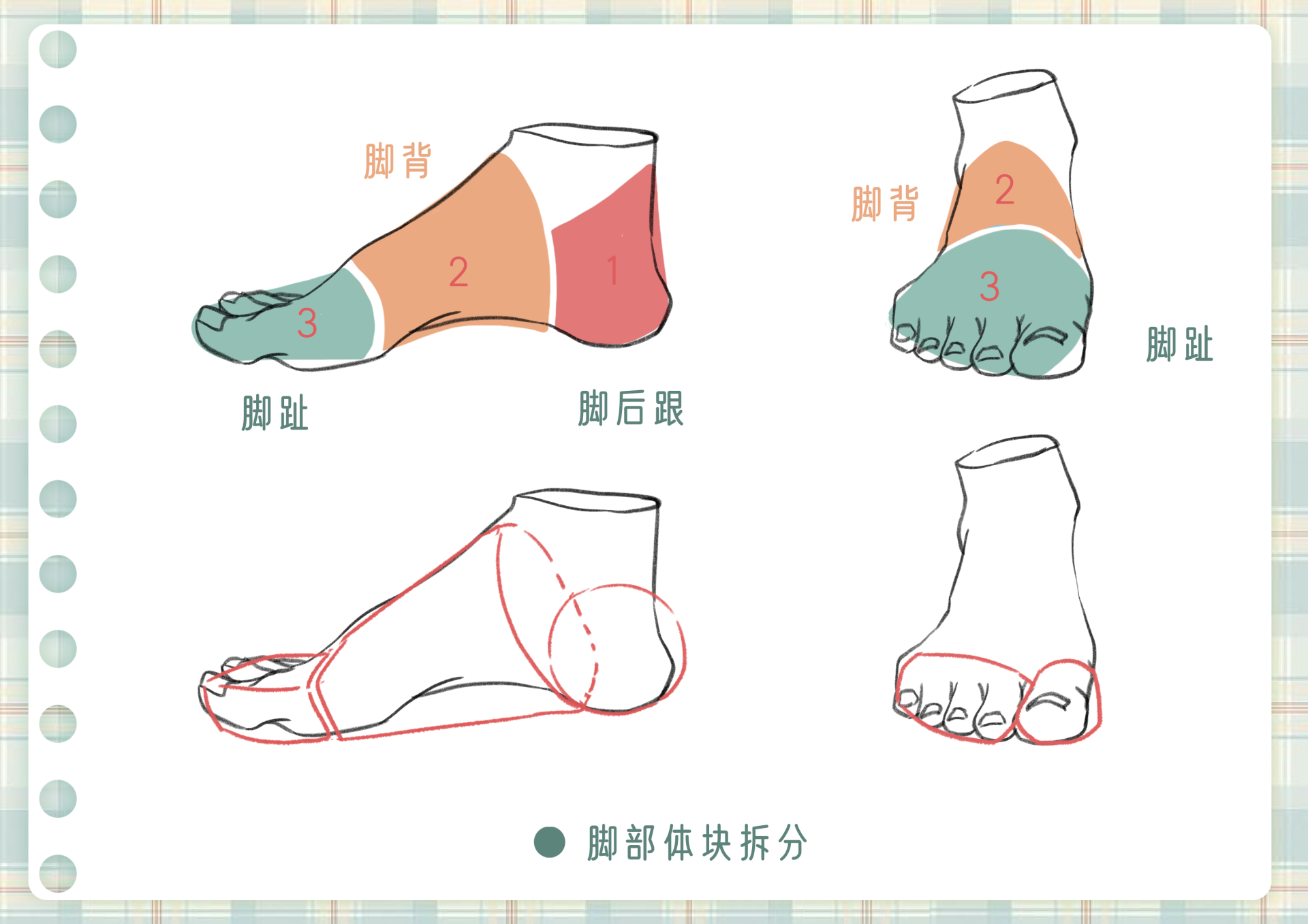 4 个脚部绘制技巧！帮你攻克画脚难题 - 知乎