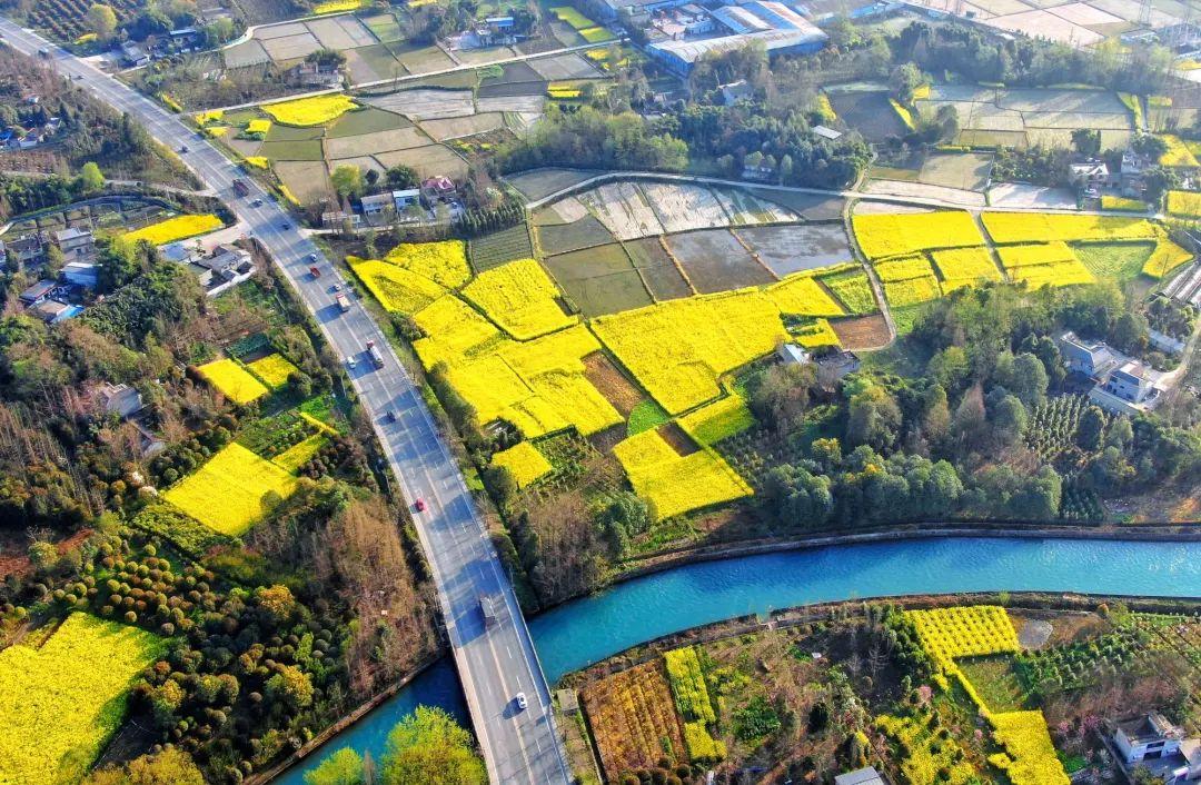 美阳春三月航拍都江堰城市田园风光