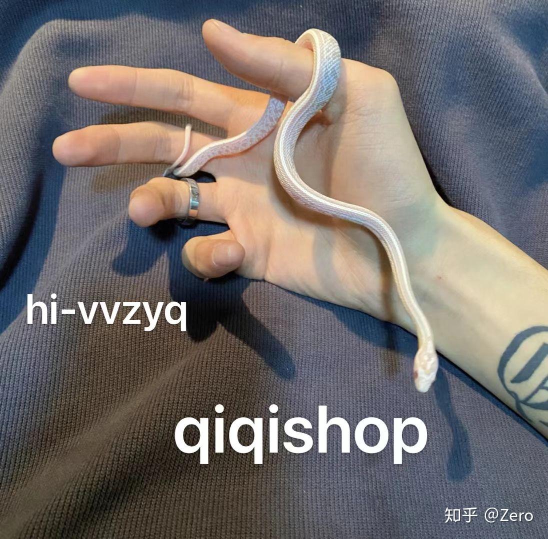 女生首选玉米蛇 知乎