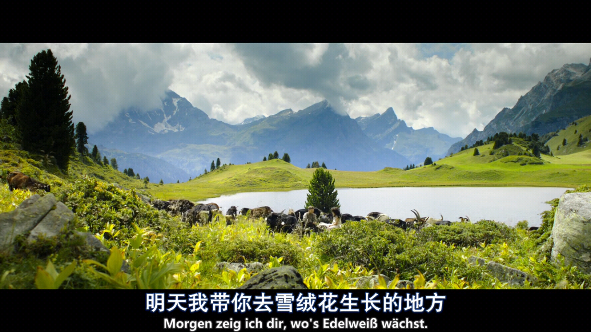 你最为珍藏的电影截图有哪些