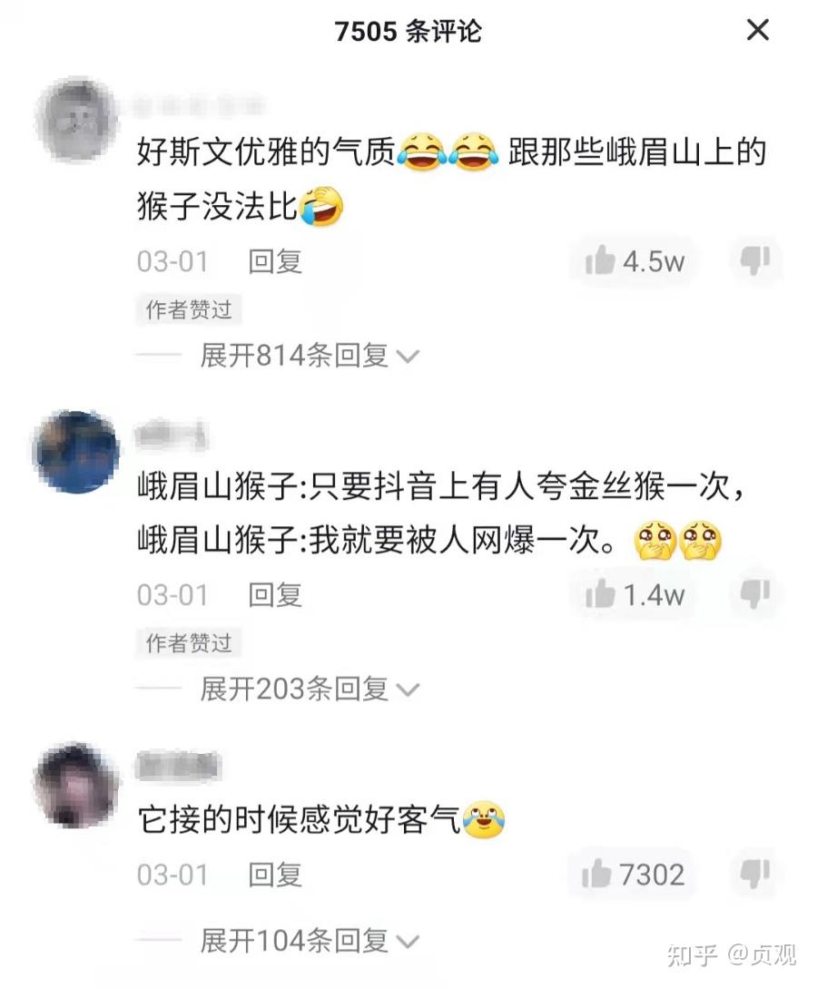 因为金丝猴和人类互动时相对乖巧,和另一派顽劣的峨眉山猕猴(又称