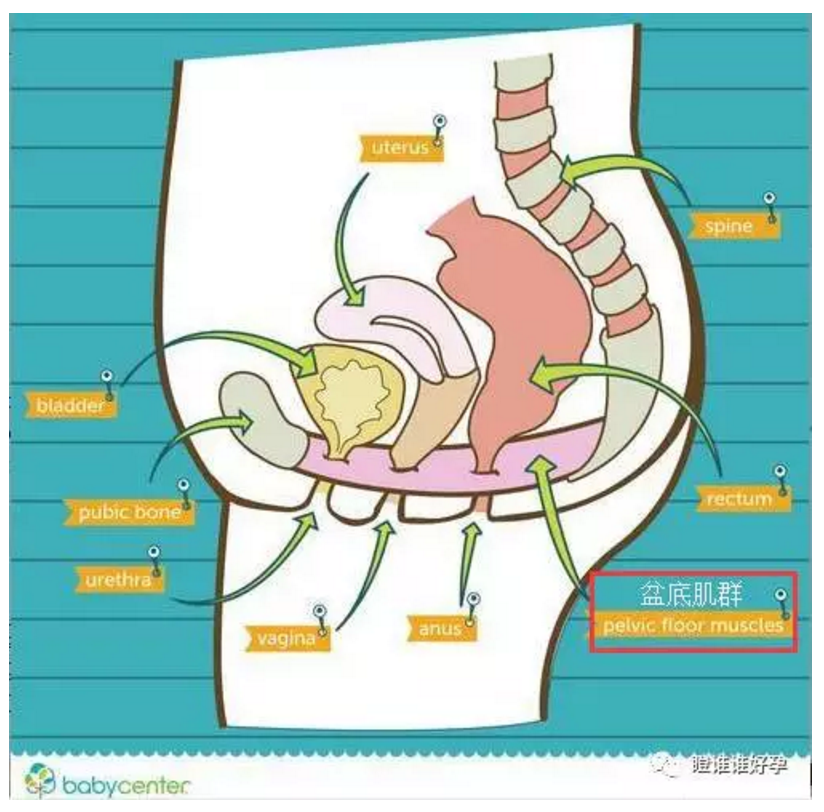 除了漏,还会有尿频尿急,尿不尽的症状,有些还会出现膀胱区胀满的感觉.