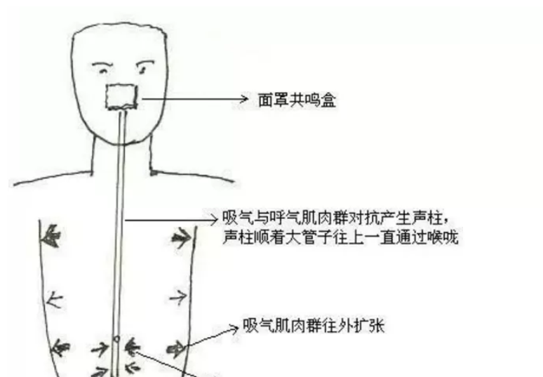 调神养智排肺中毒素什么呼吸法如此神奇胎息