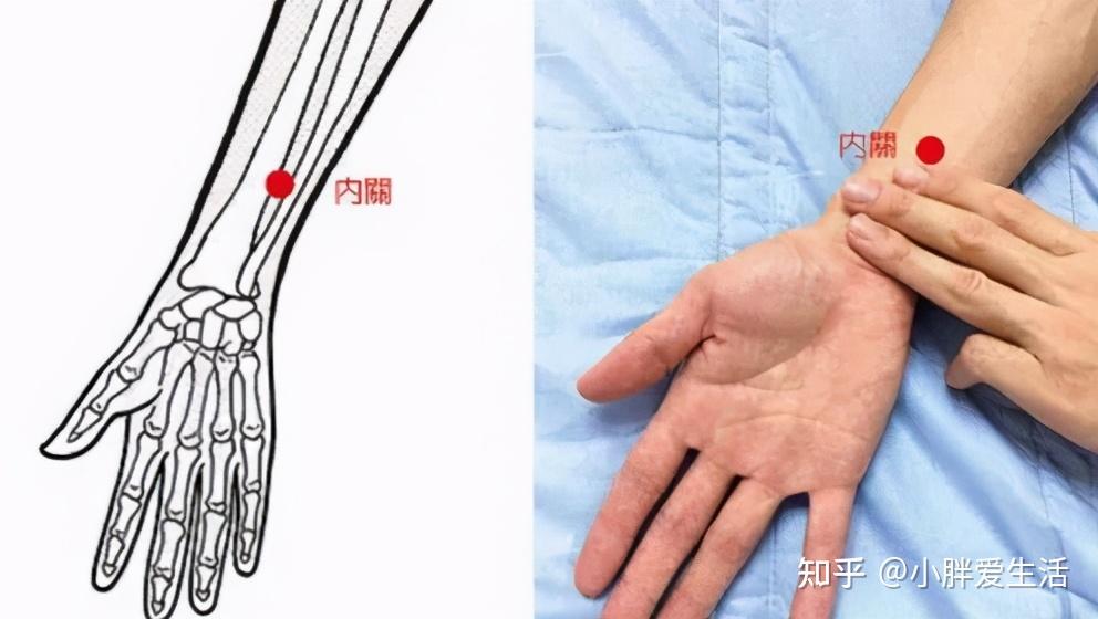 肌腱的橈側凹陷處;三陰交穴:位於小腿內側,足內踝尖上3寸可以摸到脛骨