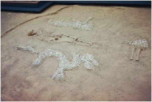 一龙"——在一个墓室中部的男性骨架的左右两侧,有用蚌壳精心摆塑的龙