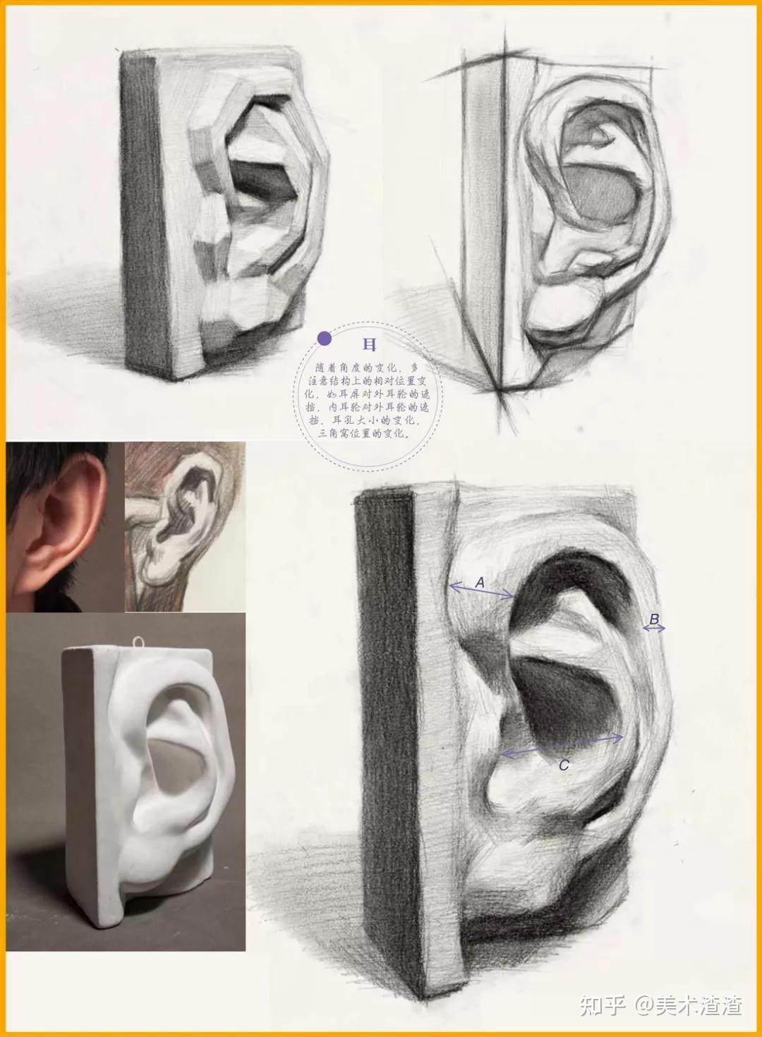 素描石膏五官要点深度解析!助你快速理解! - 知乎