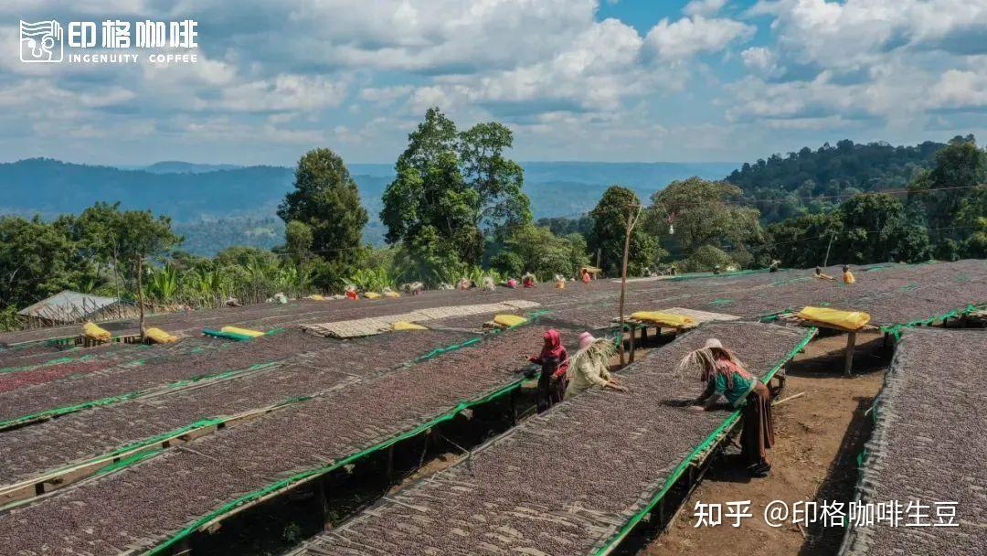 上新 | 埃塞俄比亚新产季西达摩CoE获奖产区精选豆，升级豆单的性价比之选！ - 知乎