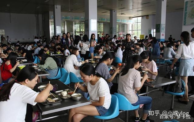 校方回应食堂饭菜男女同价不同量问题正在整改