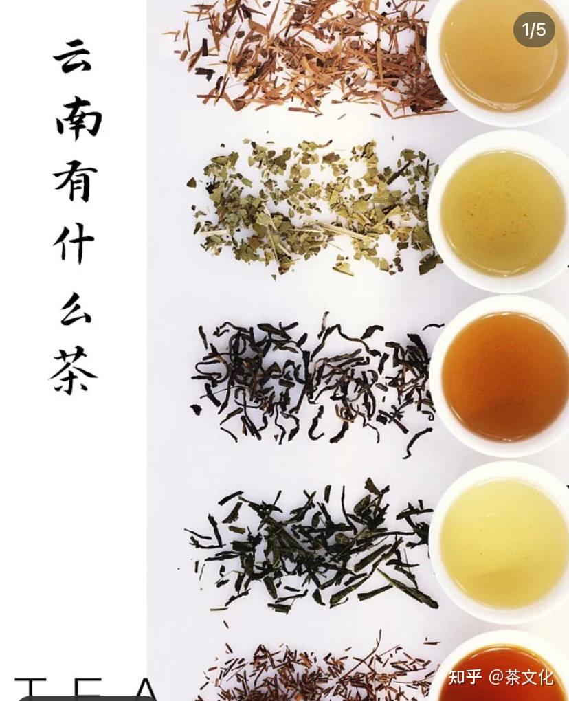 普洱茶原产地及茶山 - 知乎