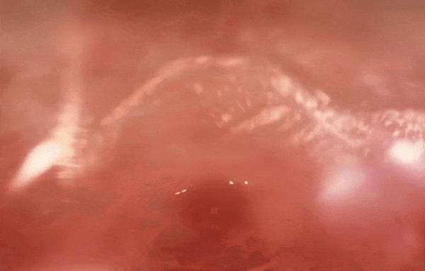 《拯救地球》石头姐这部R级科幻片太癫了！