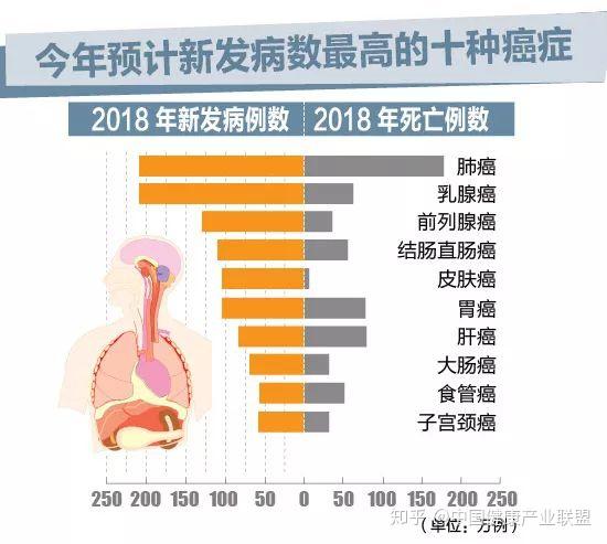 iarc《2018全球癌症报告》(图片来源:本文图表均由欧洲时报制图)发病