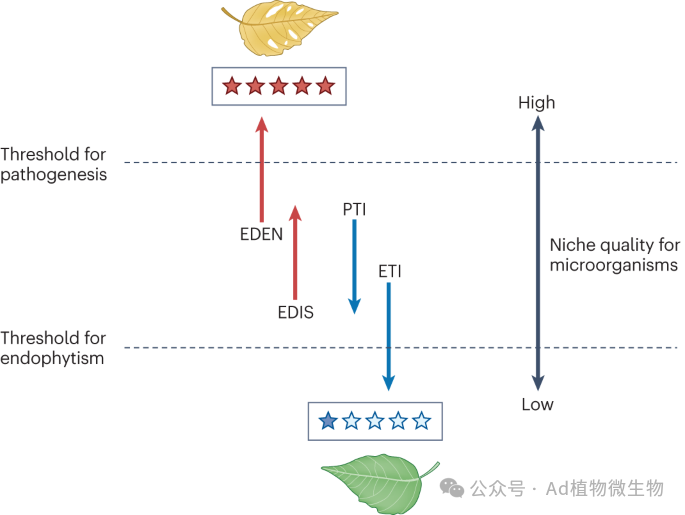 Nature Reviews Microbiology (IF=88.1) | 植物病原体建立的细胞外生态位！ - 知乎