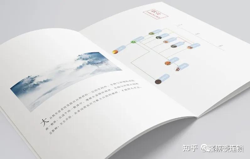 连锁招商运营手册的编写要点 - 知乎