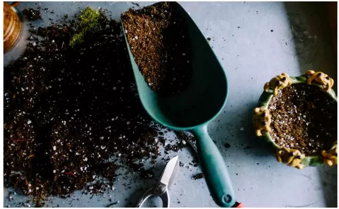 数据圈 | 转型遭遇各种不顺!或许是你忽视了细节