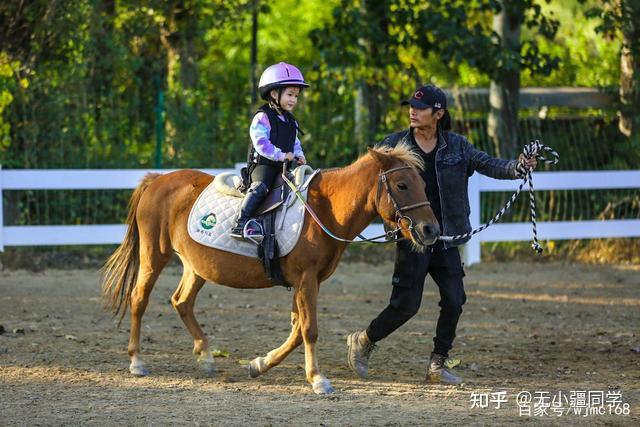无疆牧场学习马术的孩子如何与马共度四季
