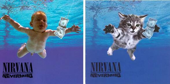 这只摇滚猫要红啊上了那么多的黑胶封面