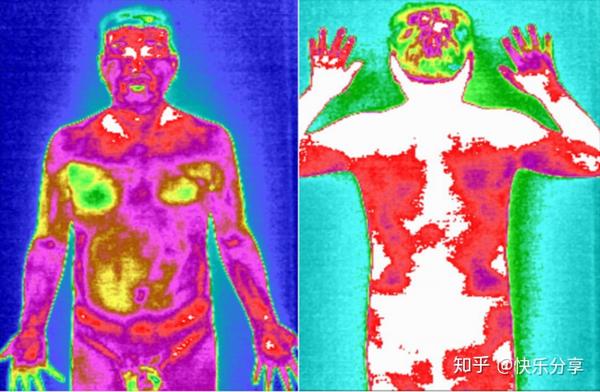 健康本源 科学探知 倡导自愈 知乎