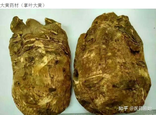 大黄性状鉴别三种大黄图片【性状】本品呈类圆柱形,圆锥形,卵圆形或不