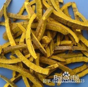 黄柏是什么? - 知乎