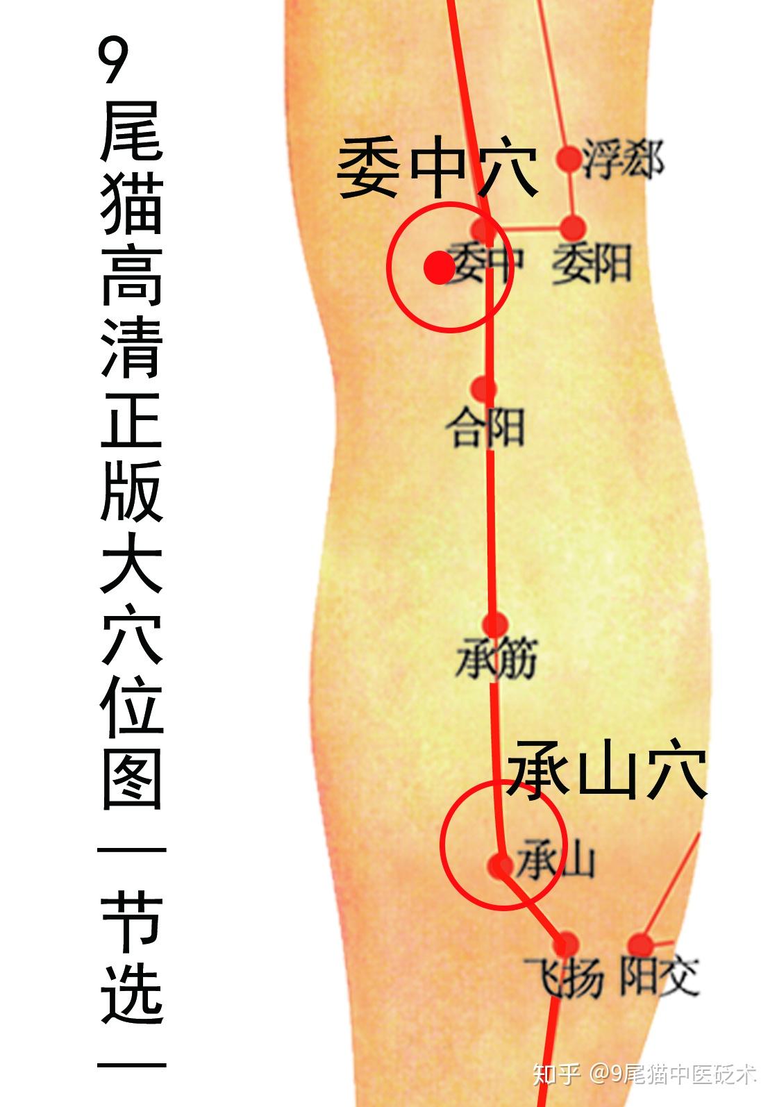 委阳的准确位置图图片