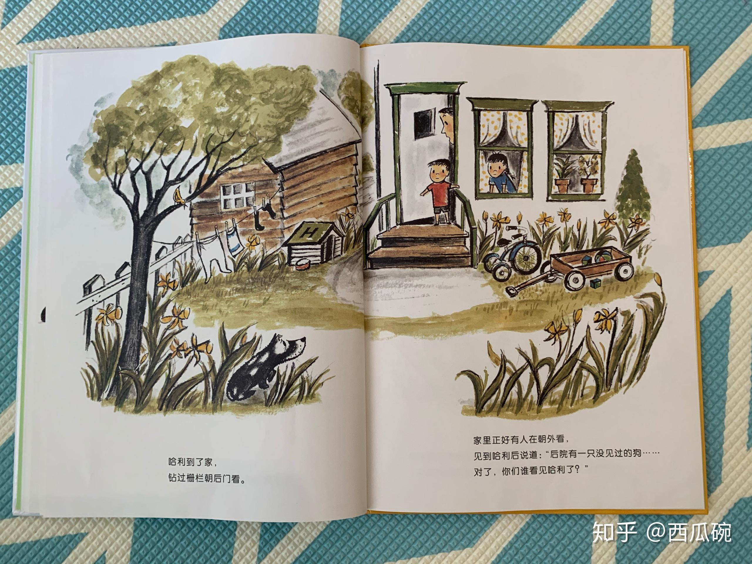 绘本精读16100好脏的哈利图文结合的典范1岁半小宝宝可以自己读得津津