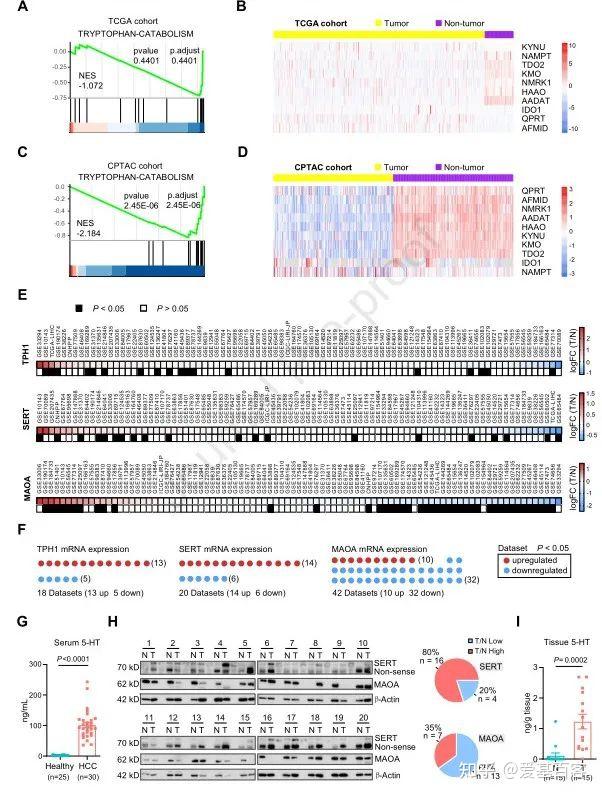 项目文章（J Hepatol&IF:26.8）| CUT&Tag+转录组解析组蛋白新型修饰H3Q5ser调控HCC的发生机制 - 知乎