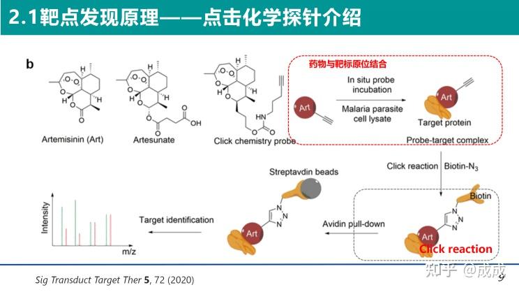 药物靶点专题|从药物靶点发现到药物研发中的经典靶点 - 知乎