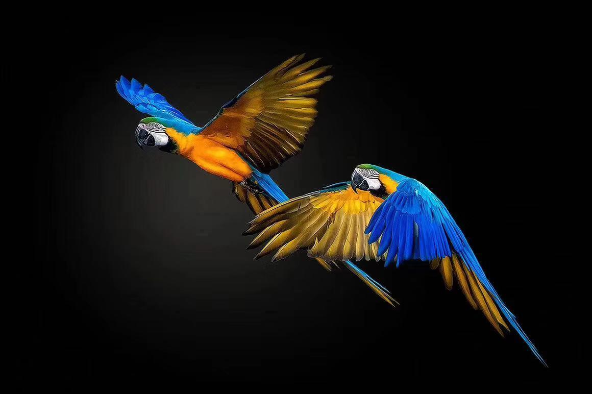 JDK1.8 Thread 源码分析