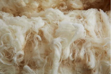 美丽诺宝藏羊毛 我们为什么这样叫它 知乎