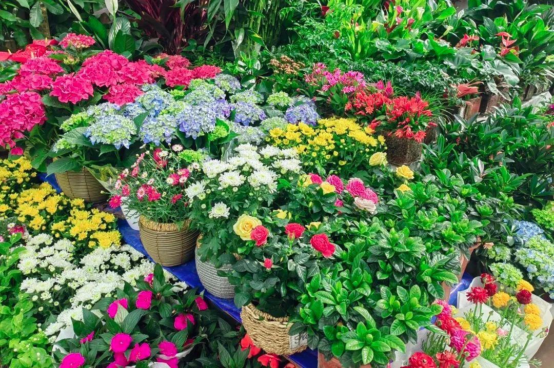 盘点西安市内宝藏花市!让你"520"买花省力又省钱