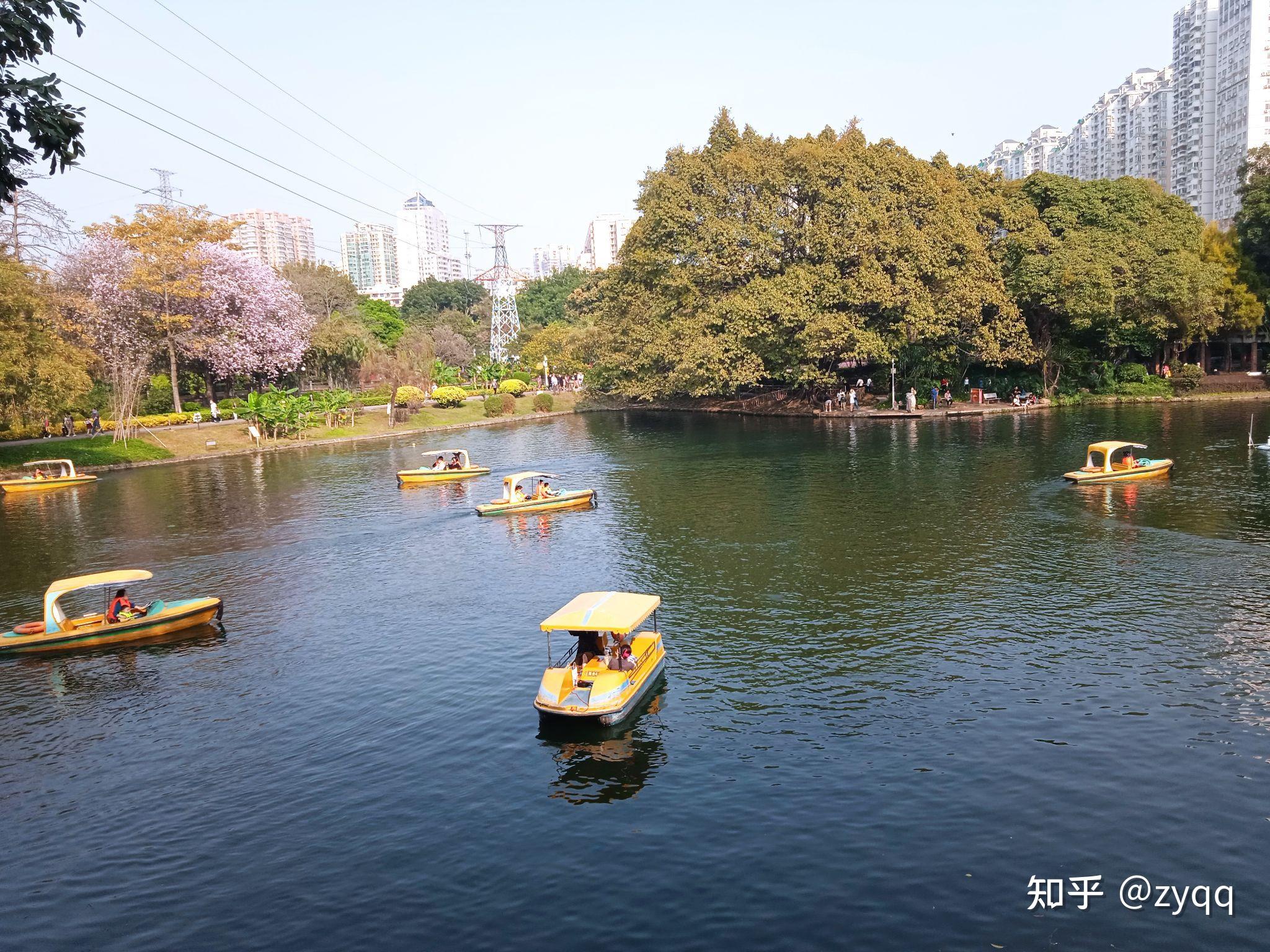 晓港公园门票图片