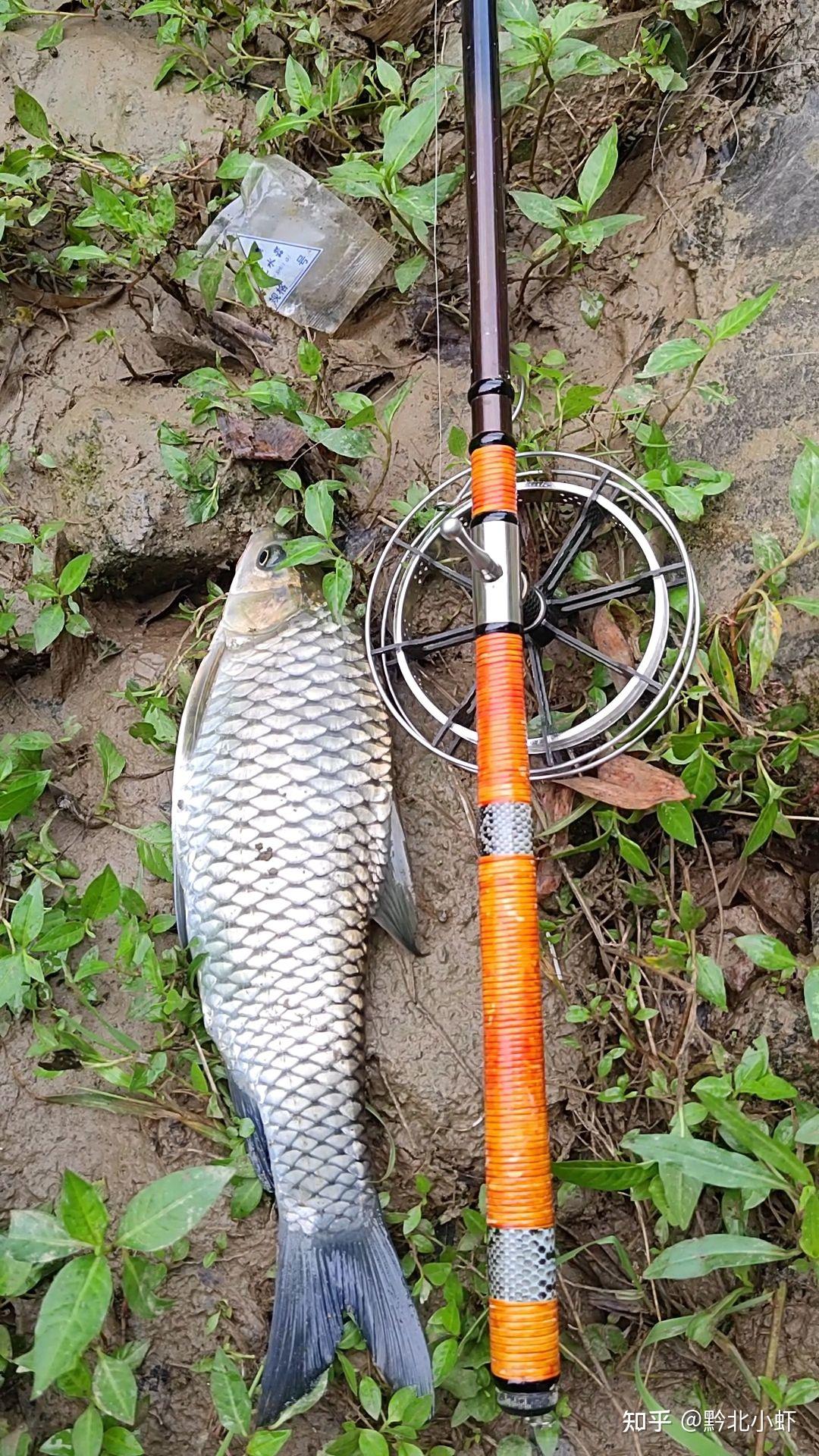 "盘车溪流钓"钓法介绍:钓饵,钓具,钓法讲解大全 - 知乎